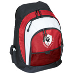 Laptop/Computer Backpacks