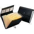 ACCORDION FILE FOLDER